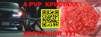 СК Будённовск