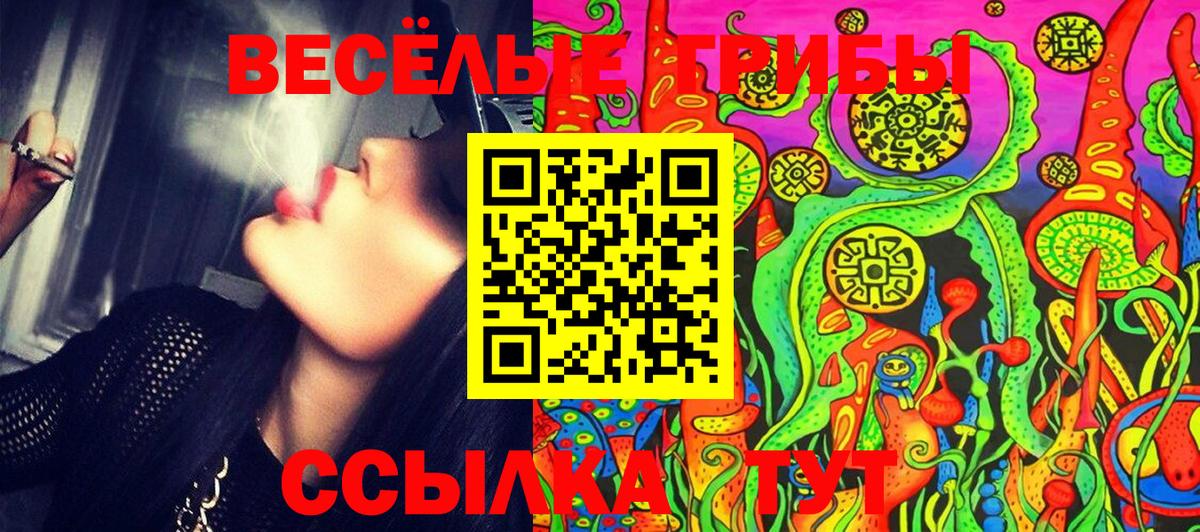 Майкоп  Псилоцибиновые грибы мухоморы  Галлюциногенные грибы Cubensis  Вход с VPN 